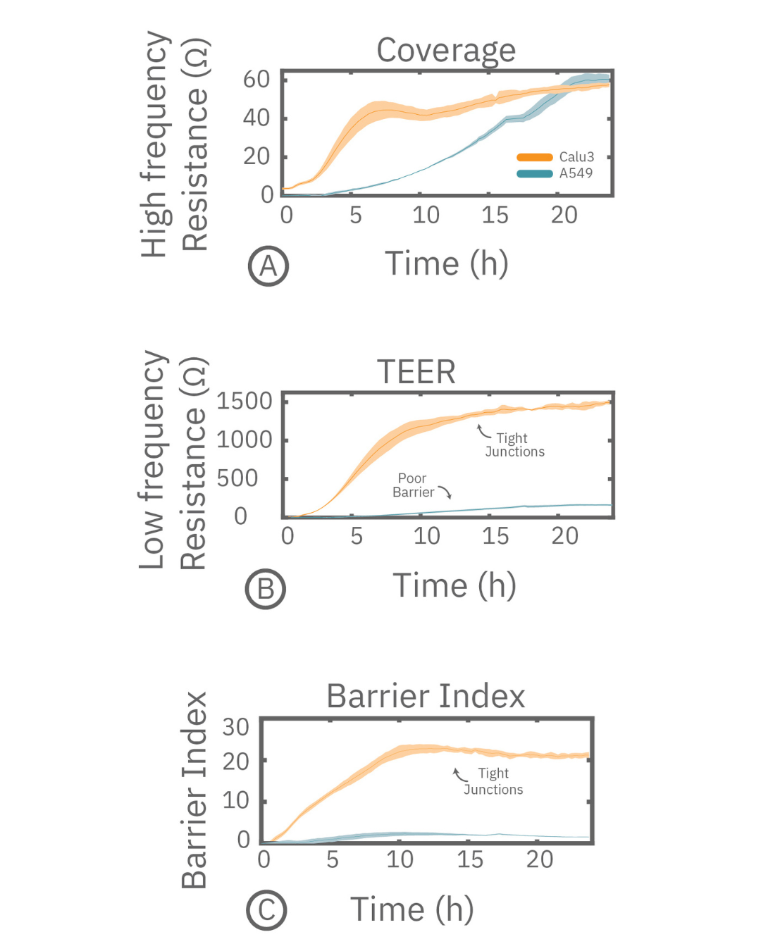 How to Interpret TEER Data