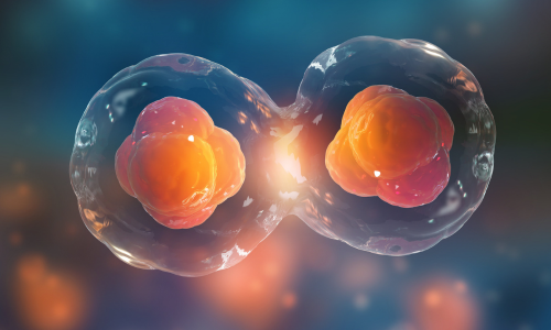 Stem Cell Monitoring Live-Cell Imaging Application