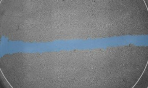 Cell Migration and Scratch Assay Live-Cell Imaging Application