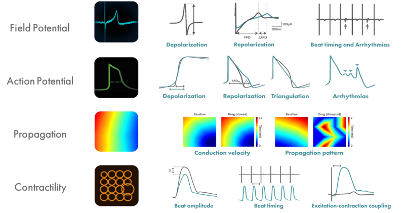 4 cardiac assays for cardiac pacing on MEA systems