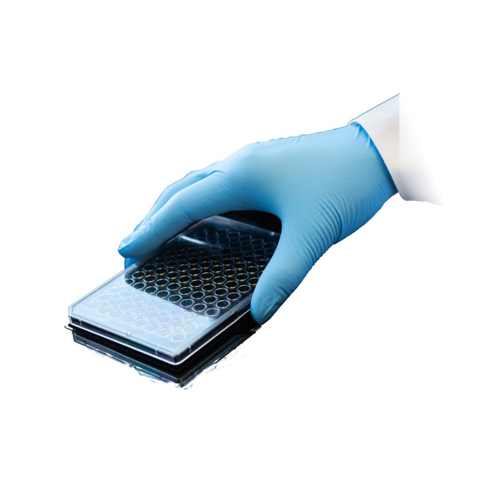 Axion Insights Lab