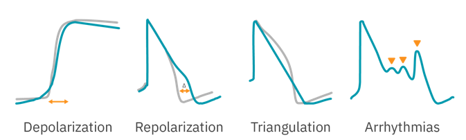 Cardiac action potentials