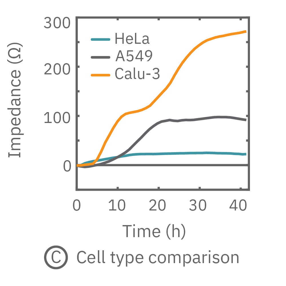 Maestro monitored the growth of three cell types, HeLa, A549, and Calu-3, and readily distinguishes their distinct cell profiles over time. 