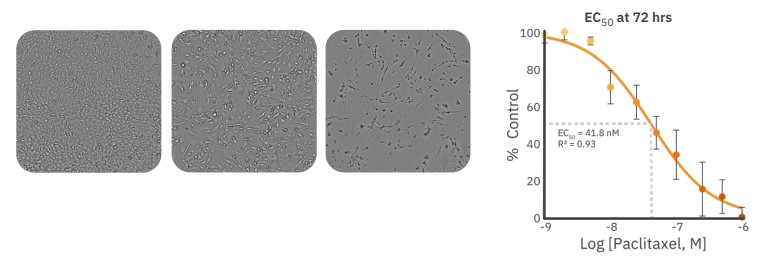 Whole-well growth and cytotoxicity