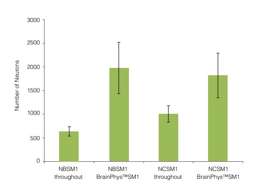 primary neuronal cultures matured in brainphys neuronal medium have greater numbers of neurons