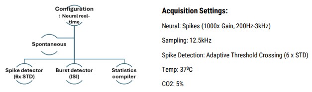 Figure 2C