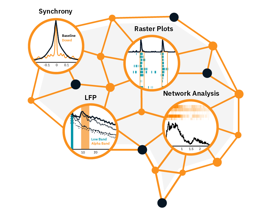 Neural Activity infographic