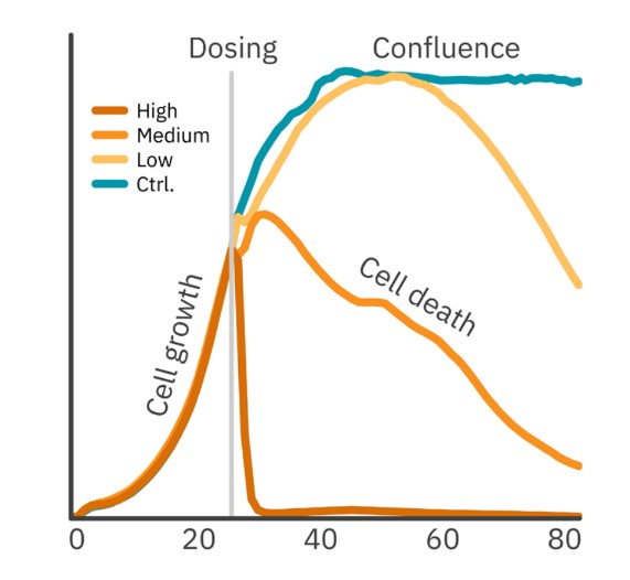 Maestro Z Endpoint assays