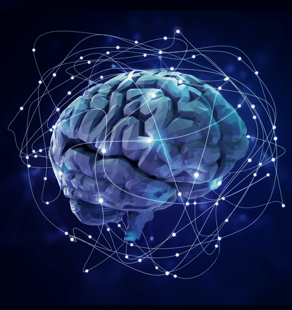 Neural Organoid Insights with Maestro MEA