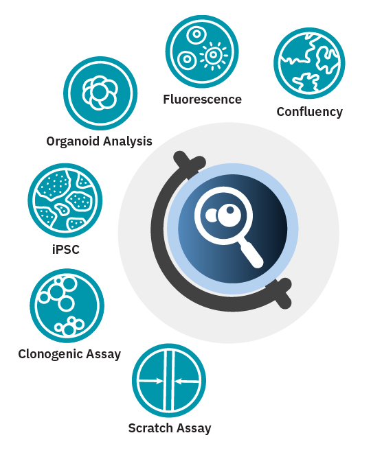 Software Modules with the Axion Portal