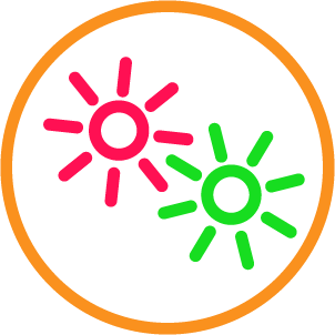 Red & green fluorescence