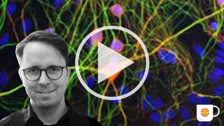 Predicting seizures with in vitro iPSC neurotoxicity assays Webinar with Dr. Benjamin Bader of NeuroProof