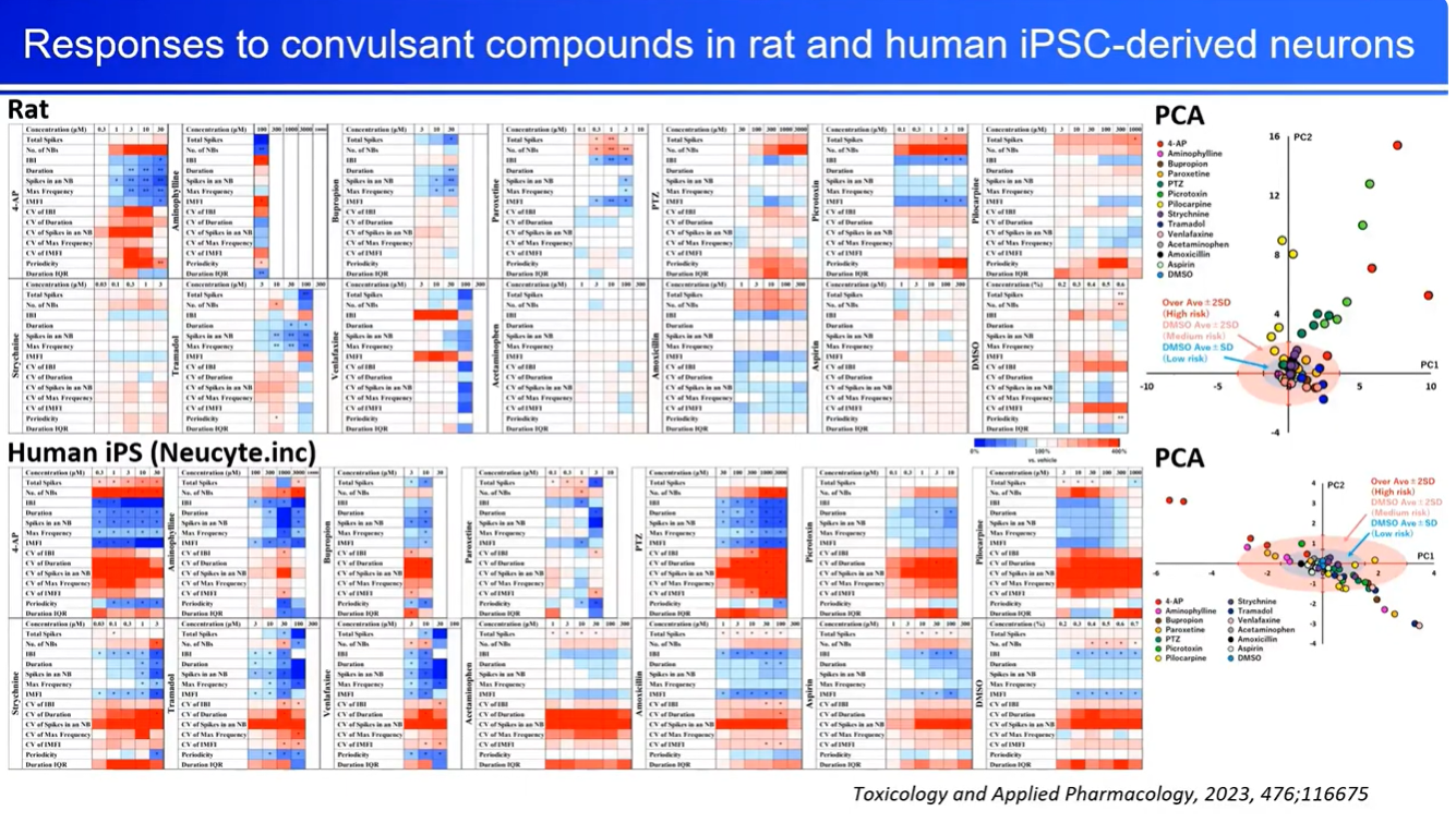 MEA responses recorded to convulsant compounds in rat and human iPSC-derived neurons