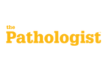 Organoids_Analysis