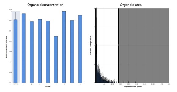 Counting Organoid Area