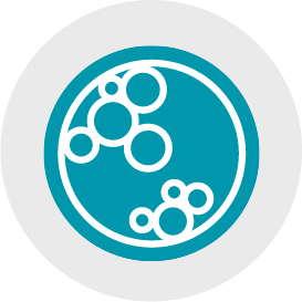 Clonogenic Assay Module