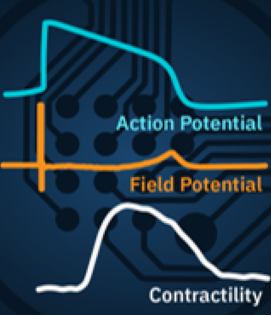 Cardiac Characterization Application