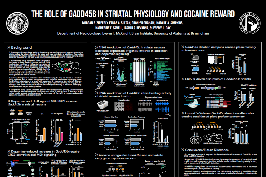 2019 SfN Poster Zipperly Addiction