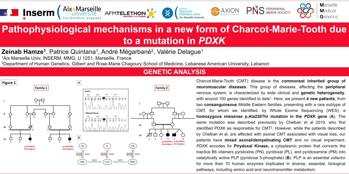 Valérie Delague Poster - Peripheral Nerve Society 2023