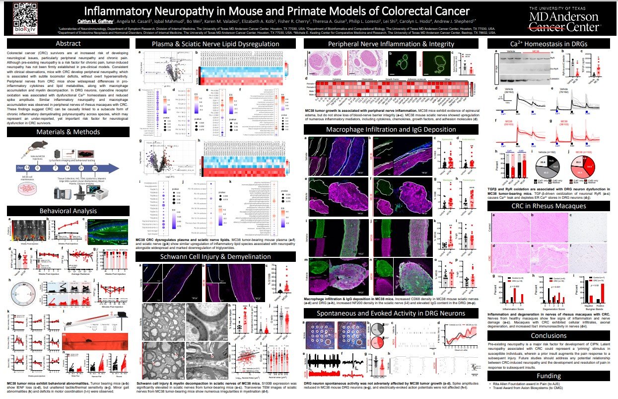 Caitlyn M. Gaffney_MD Anderson Cancer Center