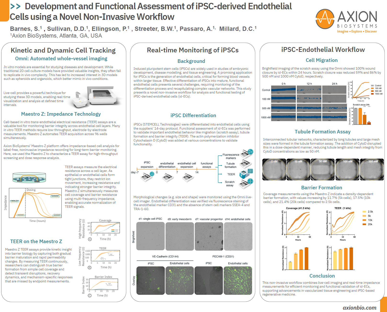 Development and Functional Assessment of iPSC-derived Endothelial Cells using a Novel Non-Invasive Workflow