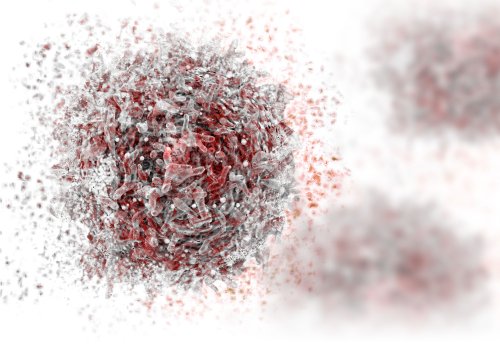 Cytotoxicity and Cell Viability Assays