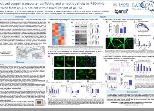 2017 SfN Starr reduced copper transporter trafficking