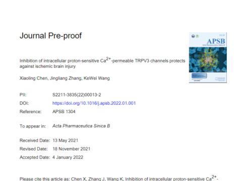 thumbnail of publication