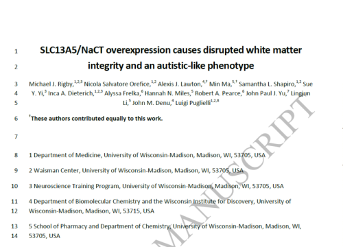 thumbnail of publication
