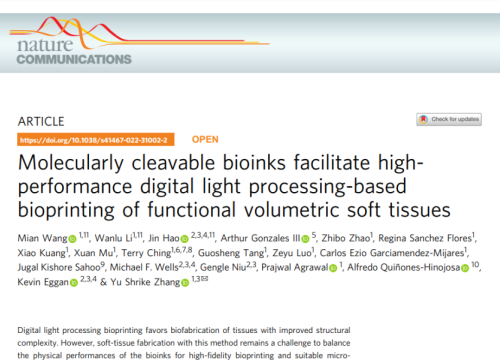 thumbnail of publication