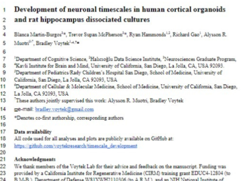 Journal of Neurophysiology, 17 Jul 2024