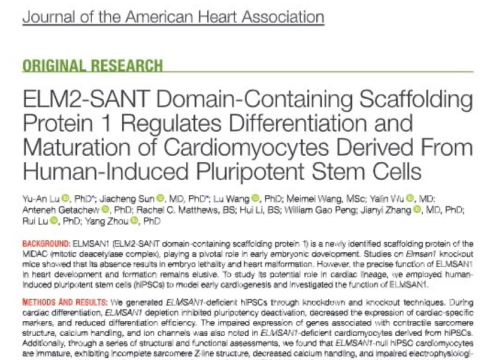 Journal of the American Heart Association, 21 June 2024