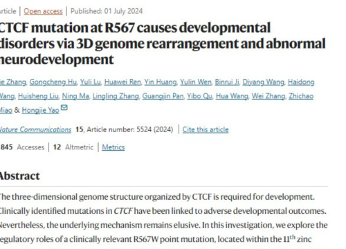 Nature Communications, 01 July 2024