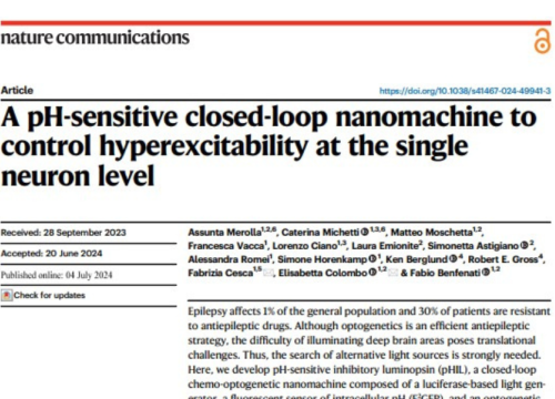 Nature Communications, 04 July 2024