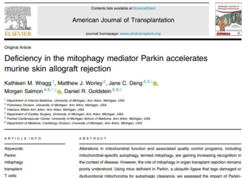 American Journal of Transplantation, 11 August 2024