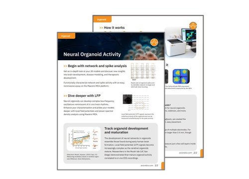 Neural Organoid Activity