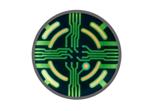 Axion BioSystems BioCircuit MEA plate