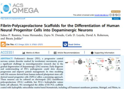 ACS Omega, 21 August 2024