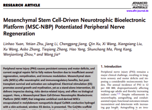 Advanced Functional Materials, 17 November 2025