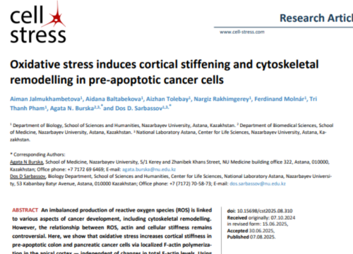 Cell Stress, 08 July 2025