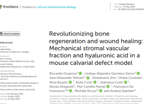 Frontiers in Cell and Developmental Biology, 12 May 2025