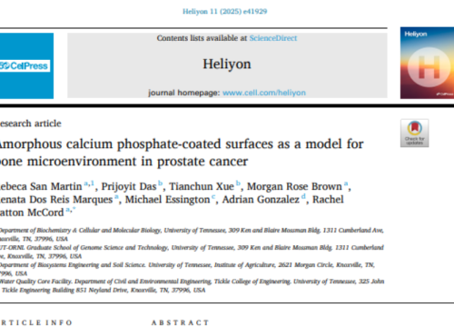 Heliyon, 15 February 2025