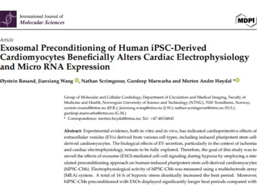 International Journal of Molecular Sciences, 1 August 2024