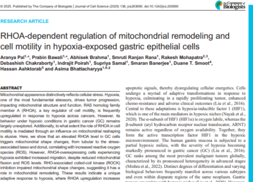 Journal of Cell Science, 30 July 2025