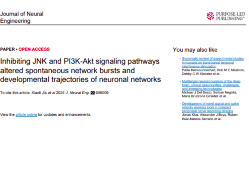 Journal of Neural Engineering, 11 September 2025