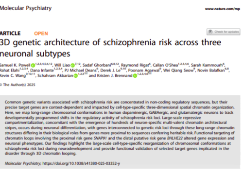 Molecular Psychiatry, 28 November 2025