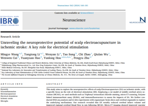 Neuroscience, 06 December 2024