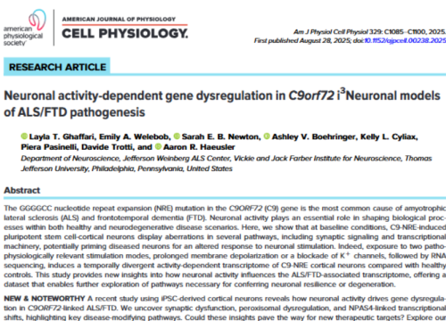 American Journal of Physiology-Cell Physiology, 28 August 2025