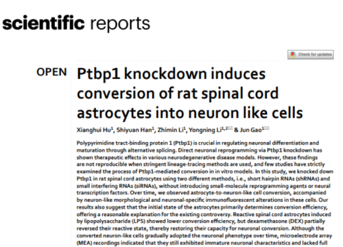 Scientific Reports, 14 October 2025