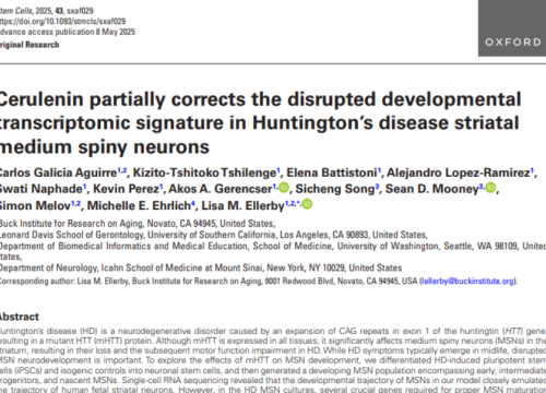 Stem Cells, 08 May 2025